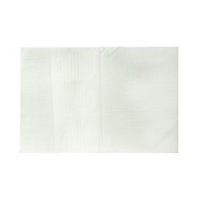 Absorptie vel 20 x 30 cm (100 stuks)